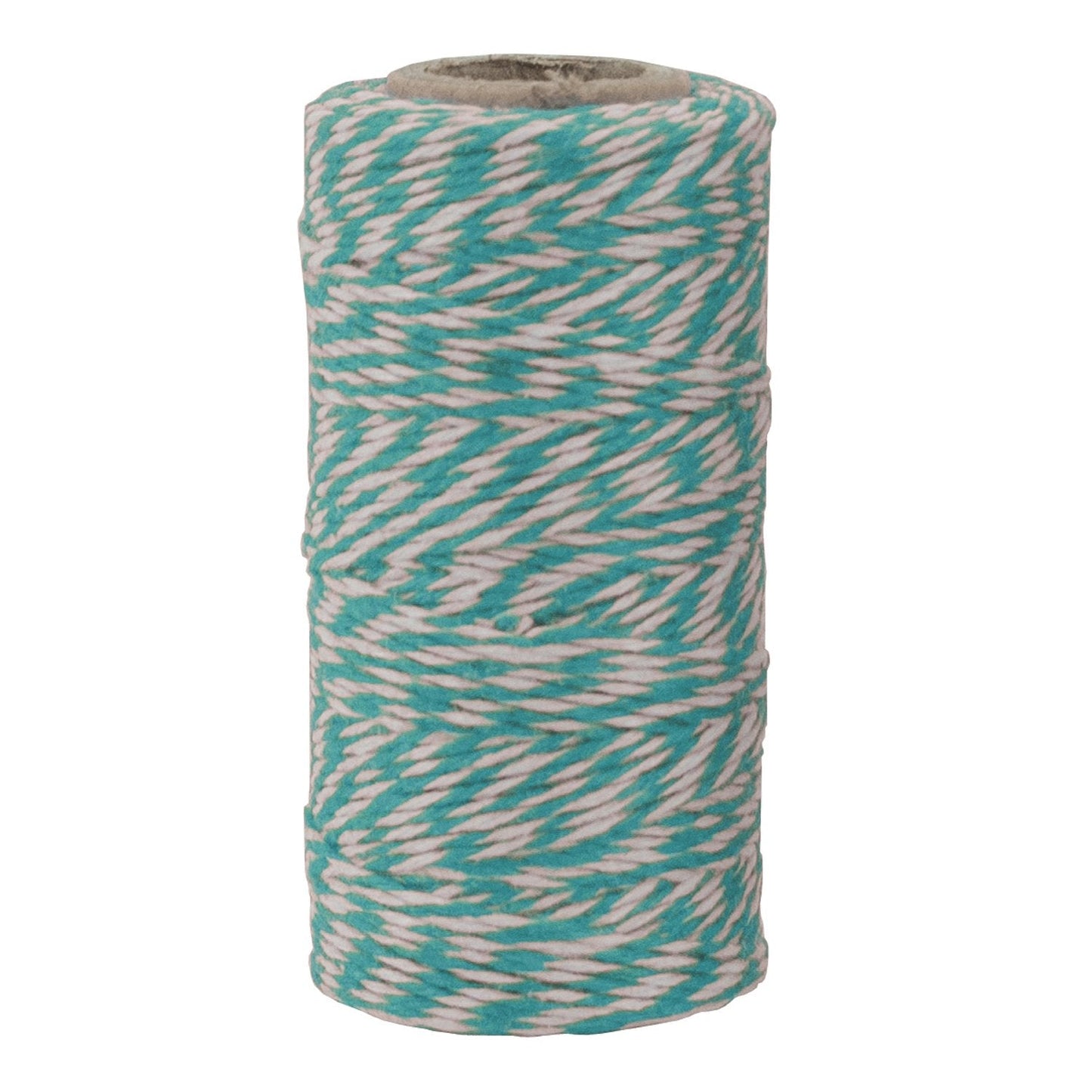 The Gift Wrap Company Twisted Twine, Aqua, 1 Ct Twine - Sabat Deals078228091520